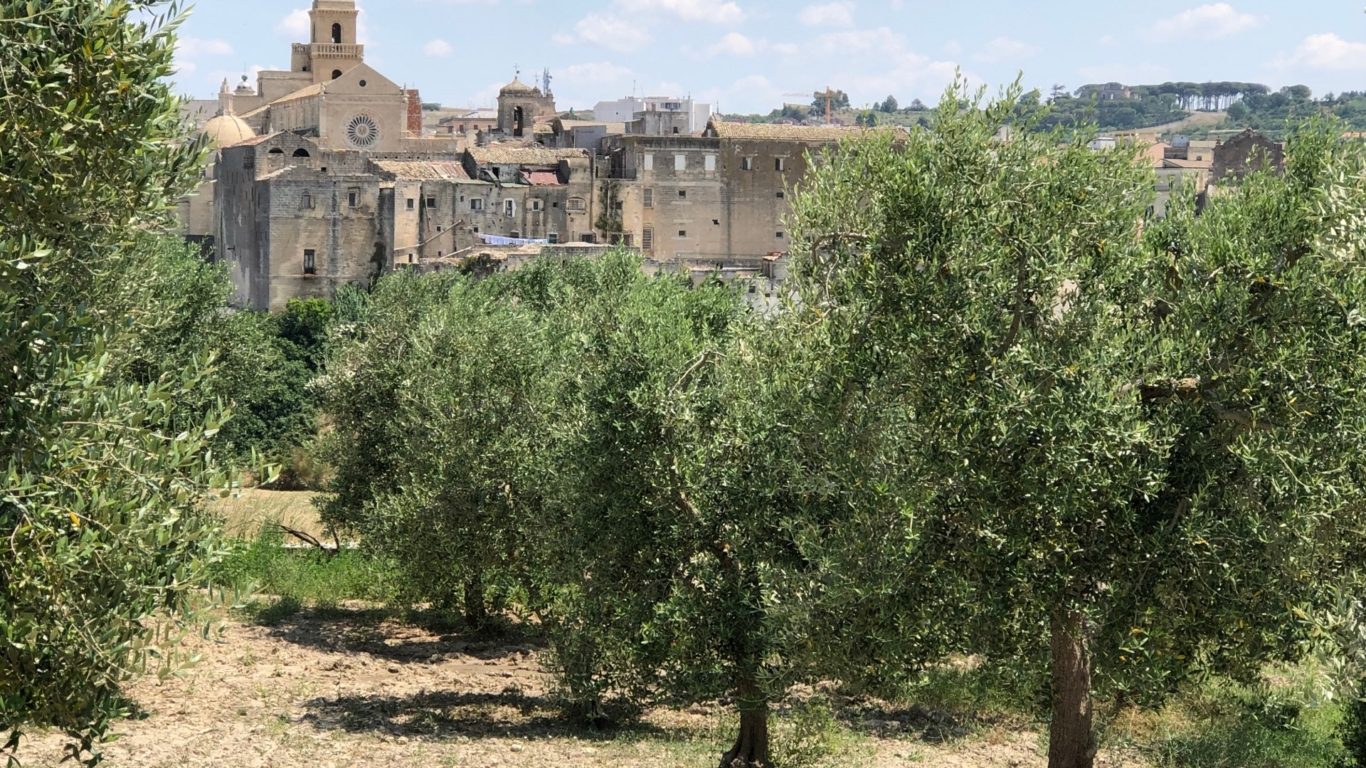 Gravina in Puglia Cultural Heritage Conservation Italy